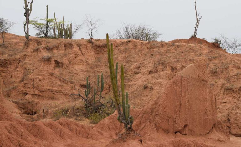 Desierto de La Tatacoa: El Nuevo Patrimonio Geológico del Mundo que Despierta el Espíritu del Aventurero