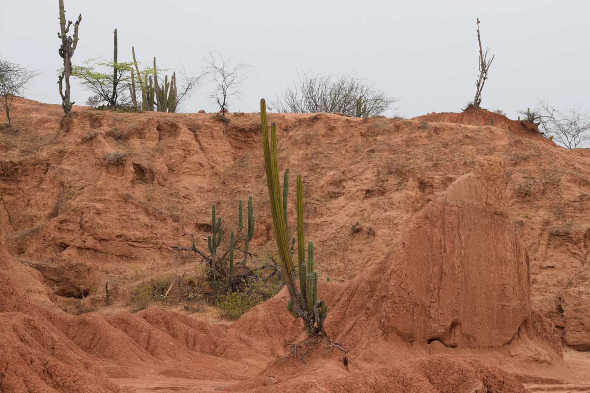 Desierto de La Tatacoa: El Nuevo Patrimonio Geológico del Mundo que Despierta el Espíritu del Aventurero