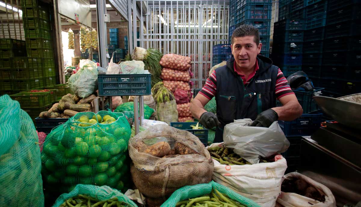 En julio de 2024, ingresaron 622.415 toneladas de alimentos a las principales centrales mayoristas del país