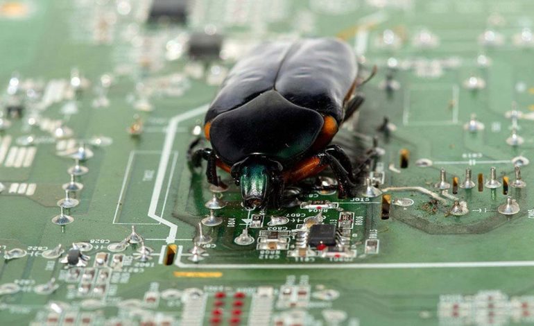 Cómo eliminar de forma segura insectos y bichos del monitor de su PC o laptop