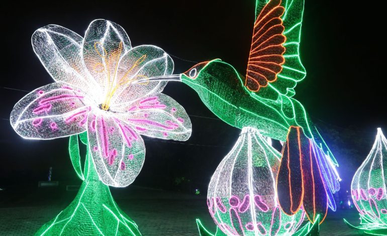 Descubre la Magia de Diciembre en Antioquia: Un Recorrido por los Alumbrados Navideños de «Encendamos la Alegría»