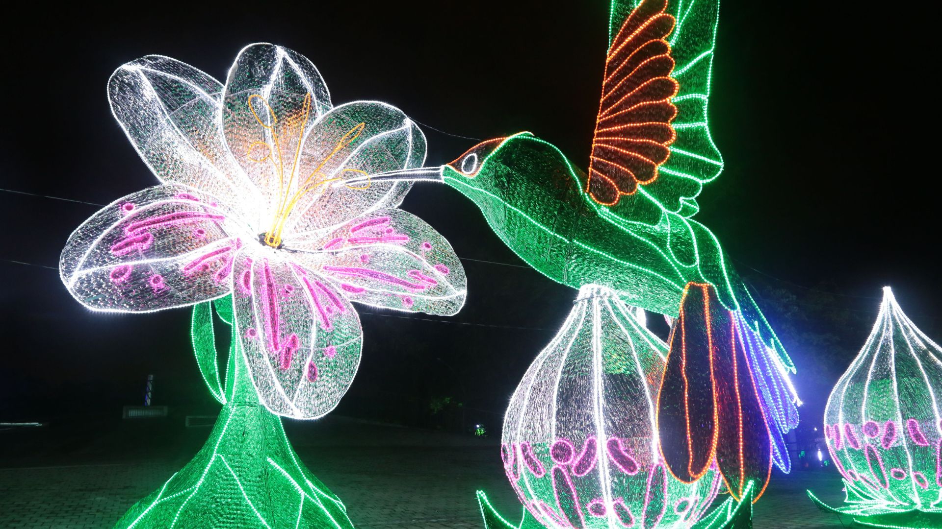 Descubre la Magia de Diciembre en Antioquia: Un Recorrido por los Alumbrados Navideños de «Encendamos la Alegría»