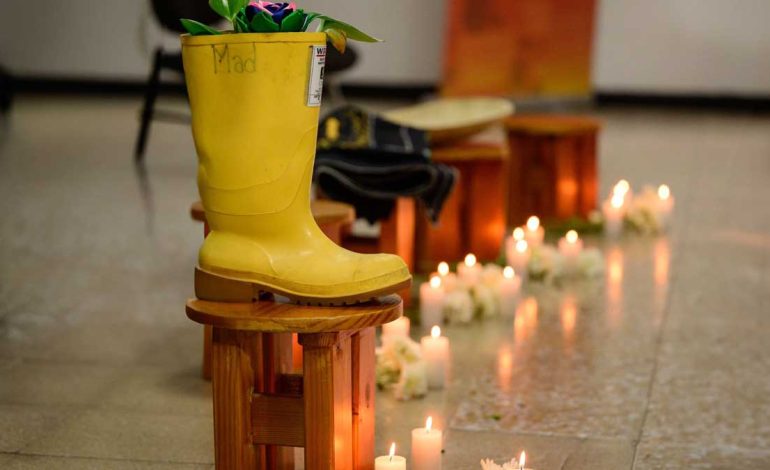 Raíces de paz: Bogotá honra a las víctimas con actos de memoria y solidaridad