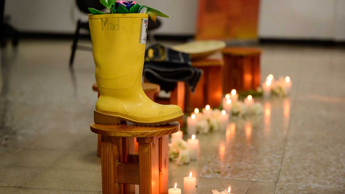 Raíces de paz: Bogotá honra a las víctimas con actos de memoria y solidaridad