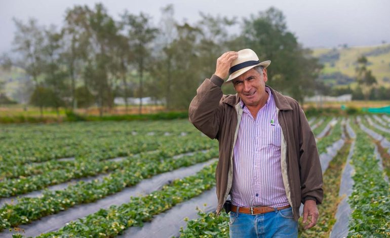 El sector rural y agropecuario alcanza su mayor nivel de empleo para marzo en seis años