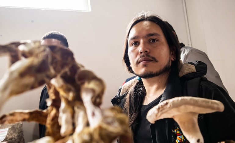 Bogotá se rinde al sabor de los hongos: gastronomía, ciencia y cultura en la 12ª Feria del Hongo