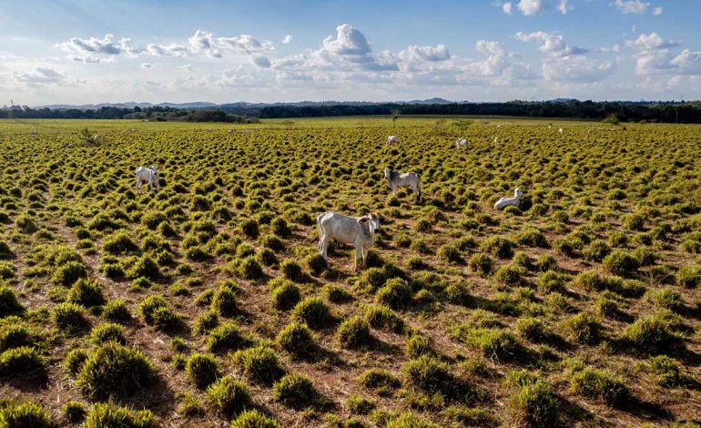 Colombia pone la naturaleza en el centro de la conversación sobre su futuro